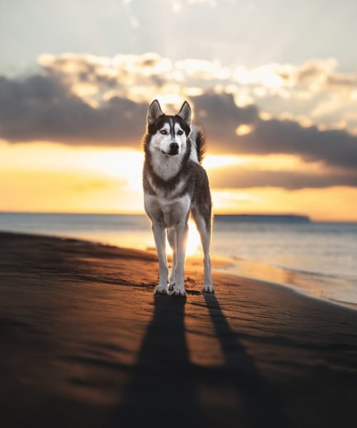 seance education individuelle